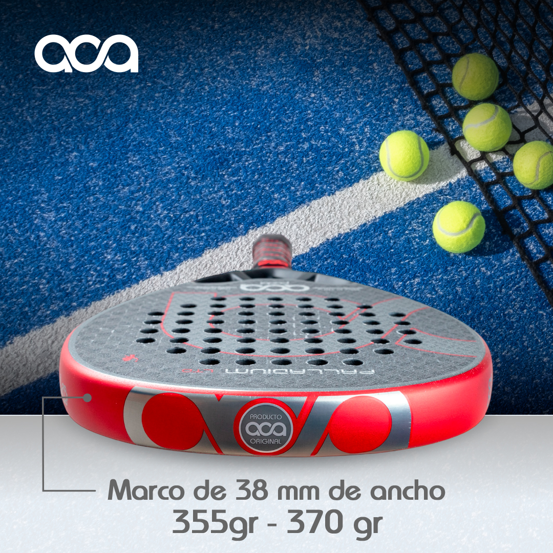 PALLADIUM LTD miniatura 3